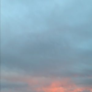 Meet your Posher, Angelica